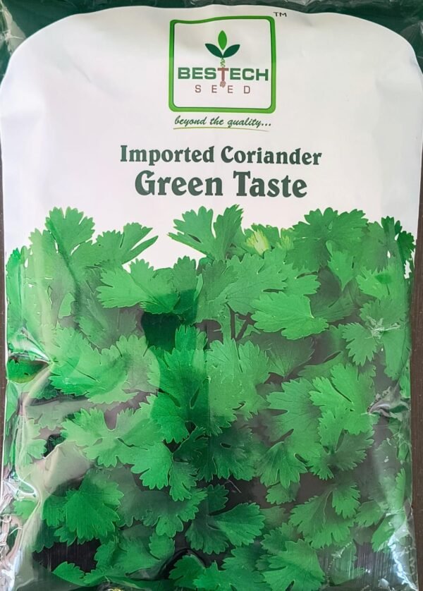 IMPORTED CORIANDER- GREEN TASTE