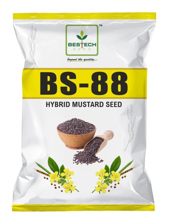 HYBRID MUSTARD - BS-88