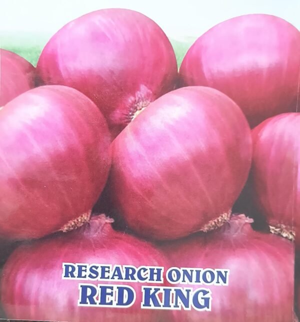 RESEARCH ONION- RED KING
