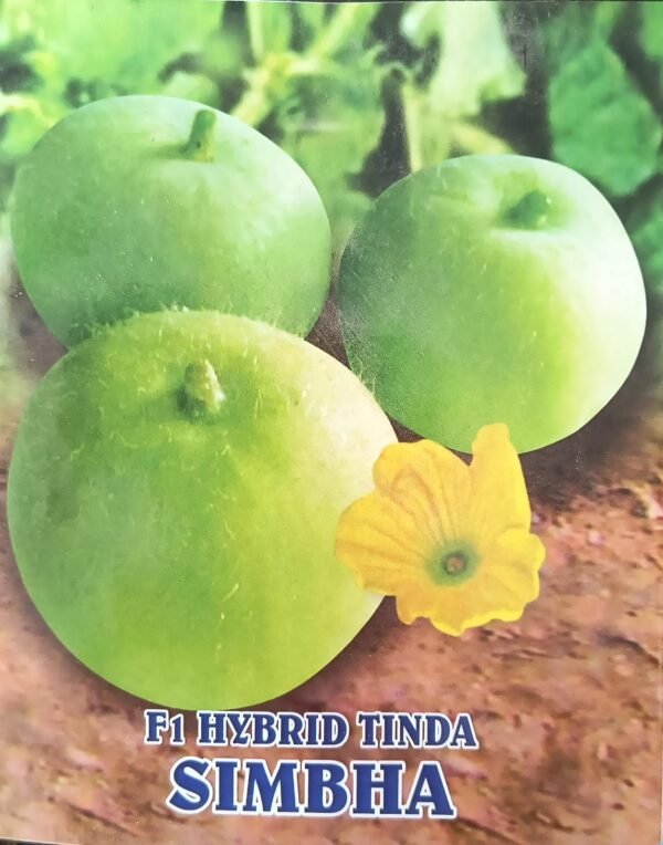 HYBRID TINDA- SIMBHA