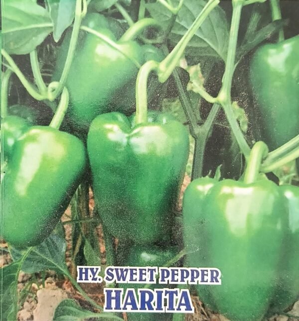 HYBRID SWEET PAPPER - HARITA