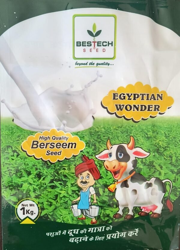 IMPORTED BERSEEM-EGYPTIAN WONDER