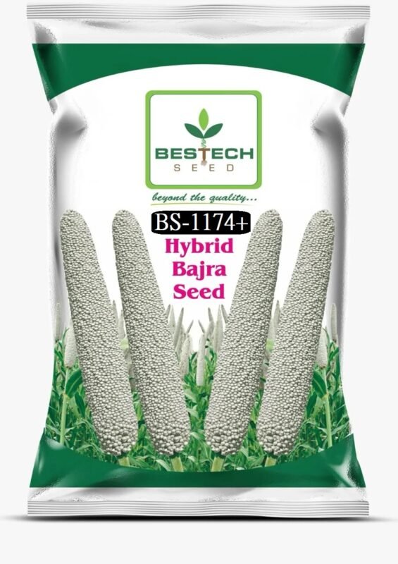 BS1174+