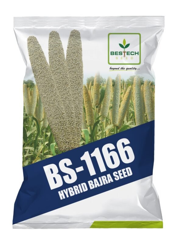 bs1166