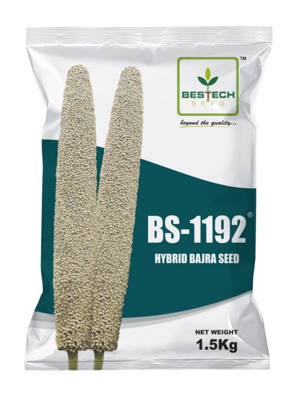 bs1192